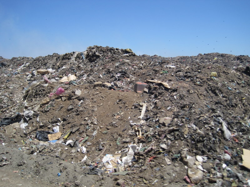Selected Image